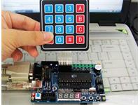 MEMBRANE KEYPAD 4X4 WITH 8PIN DUPONT CONNECTOR ON FLEXI CABLE [BMT 4X4 MEMBRANE KEYPAD]
