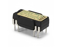 Reed 2X Forma 12VDC 510E 200MA [DA2A12V]